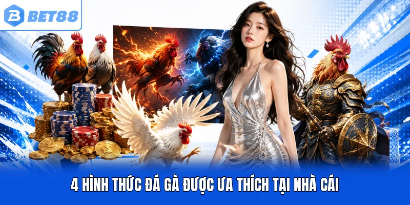 4 hình thức đá gà được ưa thích tại nhà cái 4 hình thức đá gà được ưa thích tại nhà cái