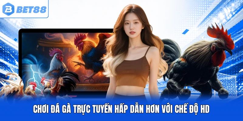 Chơi đá gà trực tuyến hấp dẫn hơn với chế độ HD Chơi đá gà trực tuyến hấp dẫn hơn với chế độ HD