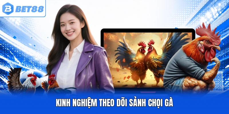 Kinh nghiệm theo dõi sảnh chọi gà Kinh nghiệm theo dõi sảnh chọi gà